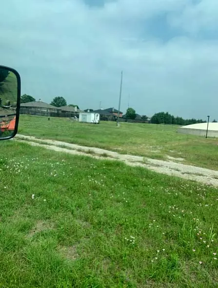 Overgrown field of tall grass before mowing